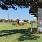 2019_OTRA_1334 (September 07, 2019)